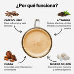 Ingredientes dose of mushroom coffee