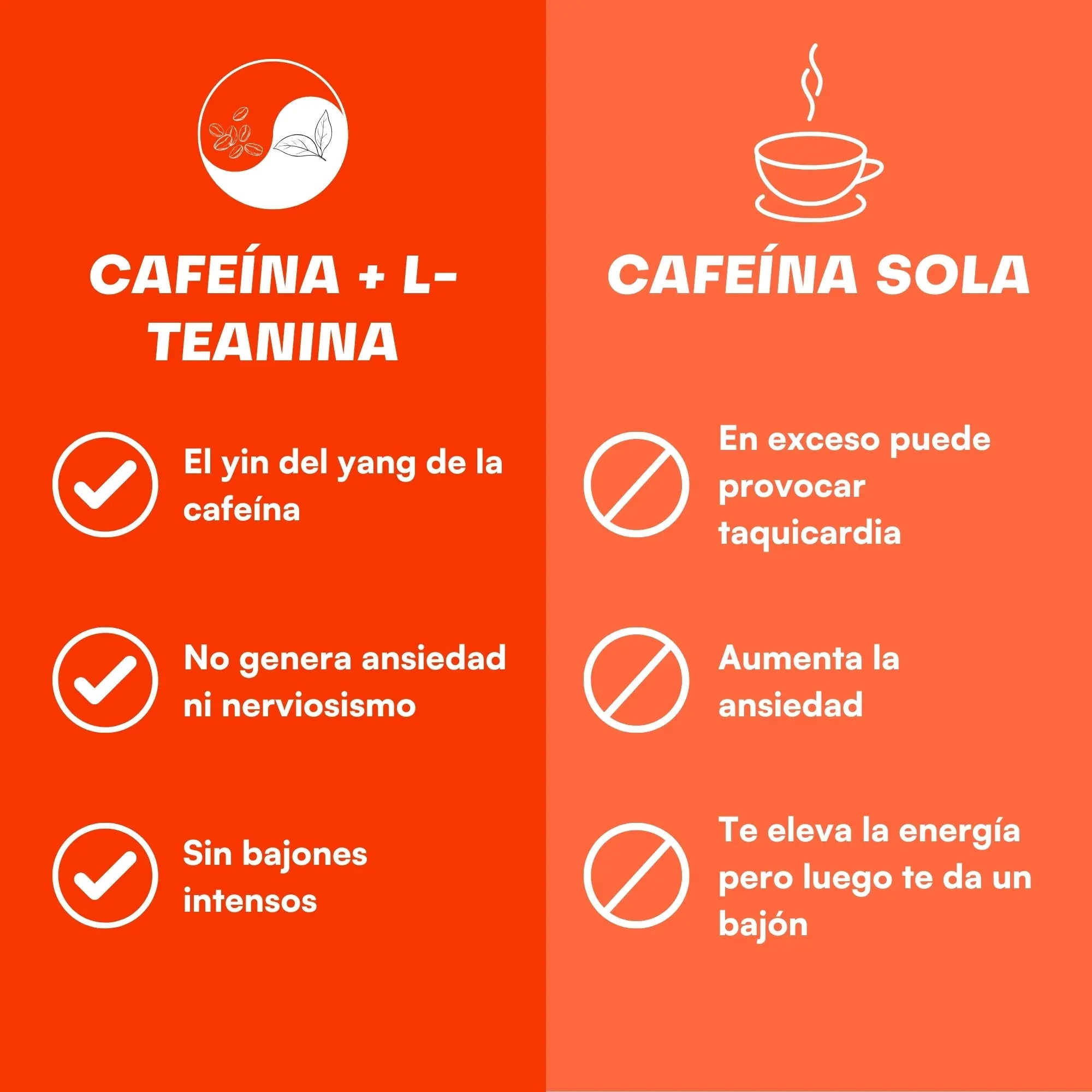 cafeina y l teanina