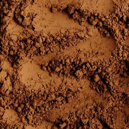 Cacao orgánico